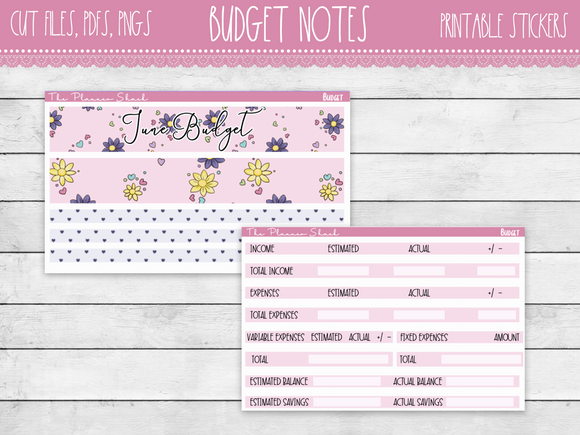 Cotton Candy Budget Tracker
