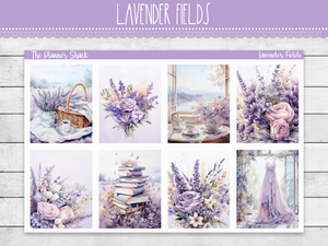 Lavender Fields