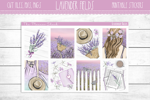 Lavender Fields