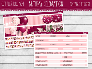 Birthday Celebration Budget Tracker